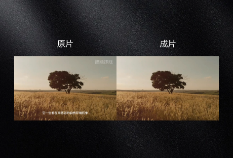 去除视频字幕