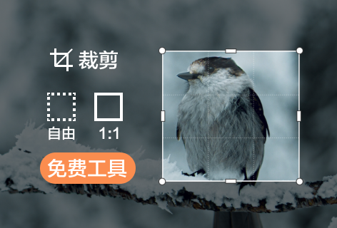 裁剪图片工具