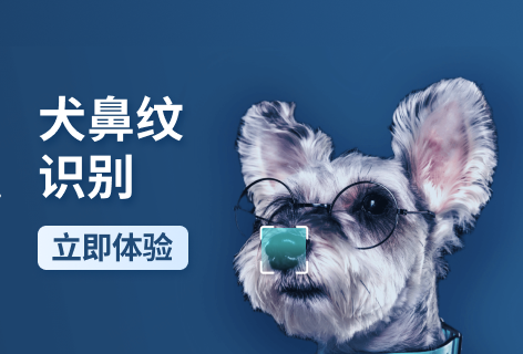犬鼻纹识别