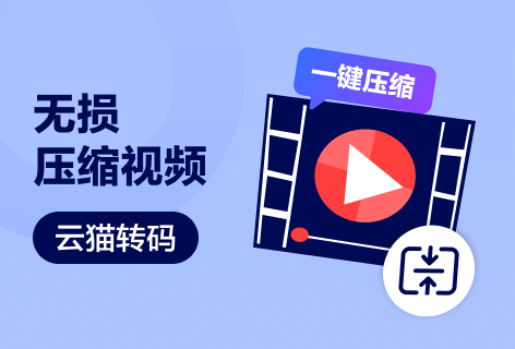 无损压缩视频