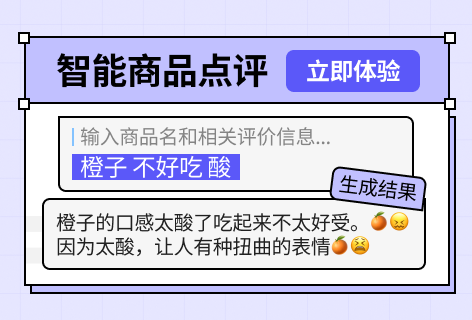 智能商品点评