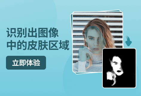 识别出图像中的皮肤区域