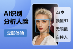 AI识别分析人脸