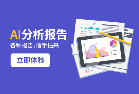 分析报告