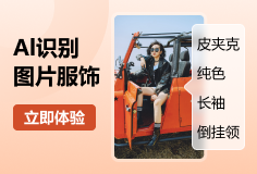 AI识别图片服饰