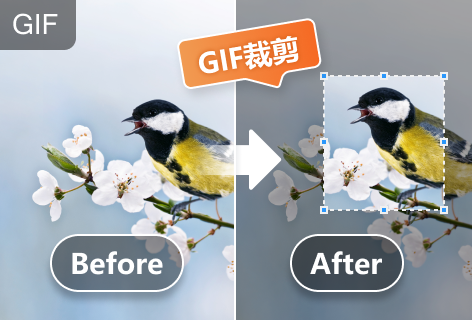 GIF裁剪