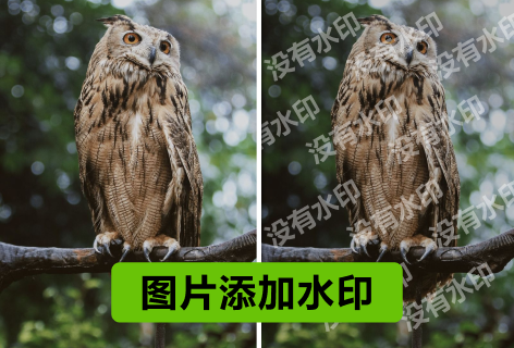 图片添加水印