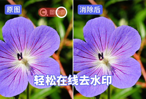 图片去水印