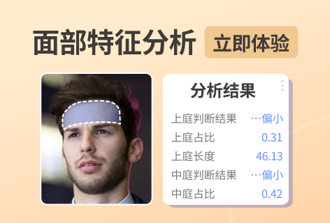 面部特征分析