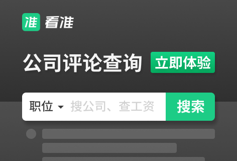 公司评论查询