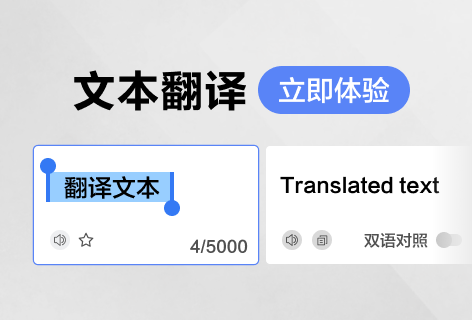 文本翻译