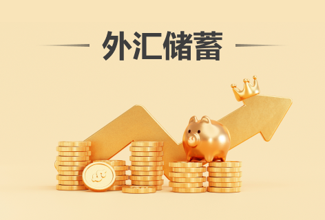 外汇储蓄