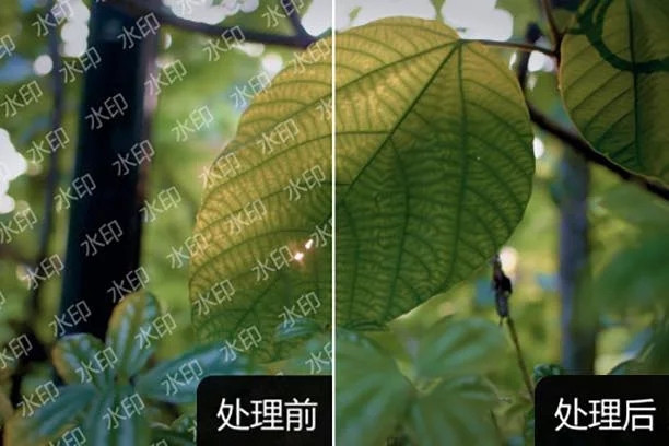 视频去水印